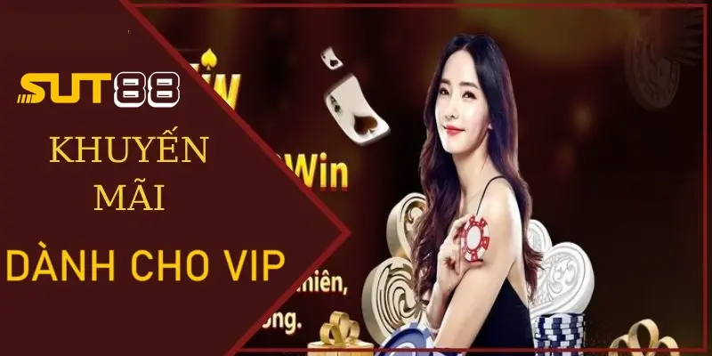SUT88 thiết kế khuyến mãi dành riêng cho thành viên VIP SUT88 thiết kế khuyến mãi dành riêng cho thành viên VIP