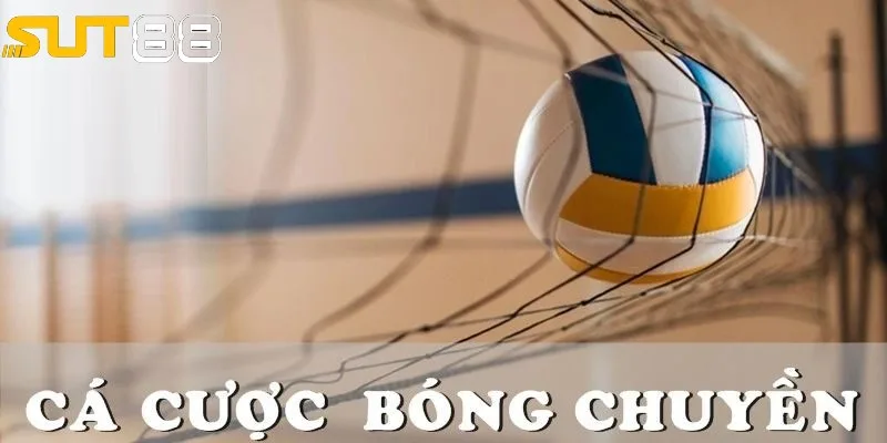 Cá độ bóng chuyền hấp dẫn đến từng pha bóng Cá độ bóng chuyền hấp dẫn đến từng pha bóng